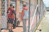 Adolescentes infractores se vuelven víctimas en los centros de reclusión
