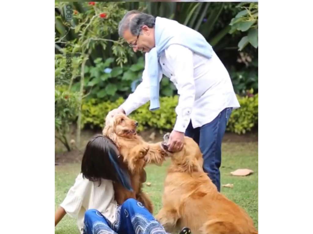 En la imagen, Gustavo Petro y su hija Antonella juegan con sus perros Tequila y Phillipe.