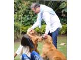 Hospitalizan a Phillipe Petro, el primer perro de la Nación