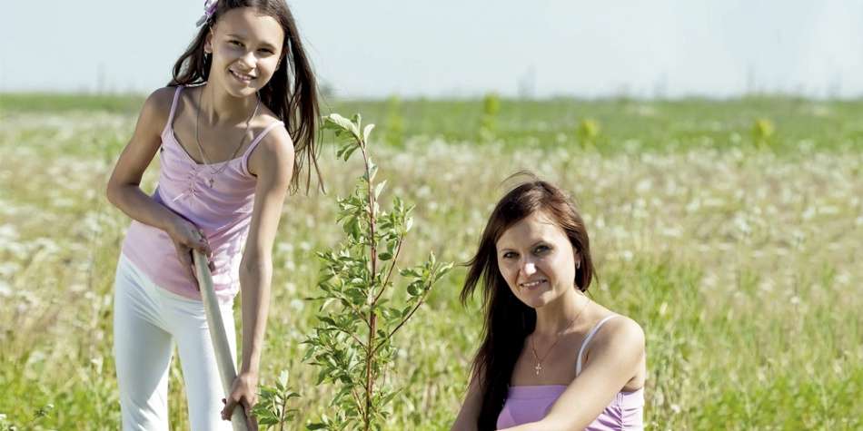 20 tips para ser ambientalmente responsable