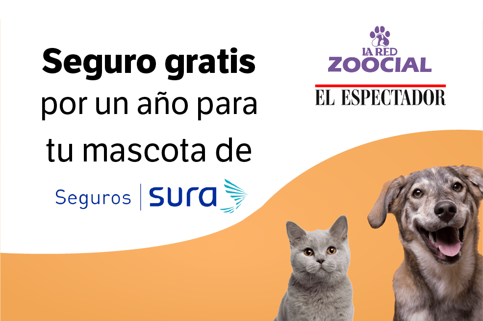 Seguro para mascota Plan Global de Suramericana.