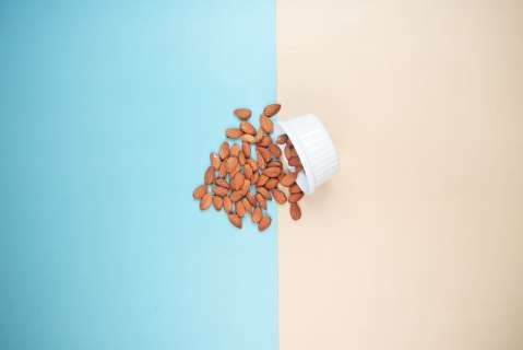 Diferencias entre almendras, nueces, avellanas y maní: ¿Qué fruto seco escoger?