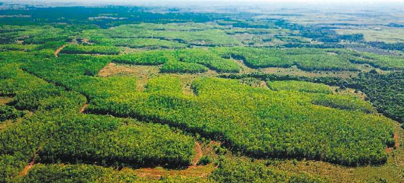 Según The Nature Conservancy (TNC) las soluciones basadas en la naturaleza podrían representar la mitigación en Colombia de 380 millones de toneladas de gases de efecto invernadero desde 2030.