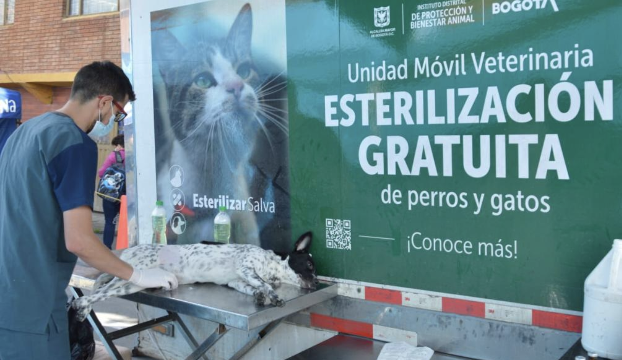 Las jornadas de esterilización se llevarán a cabo en las diferentes localidades de Bogotá.