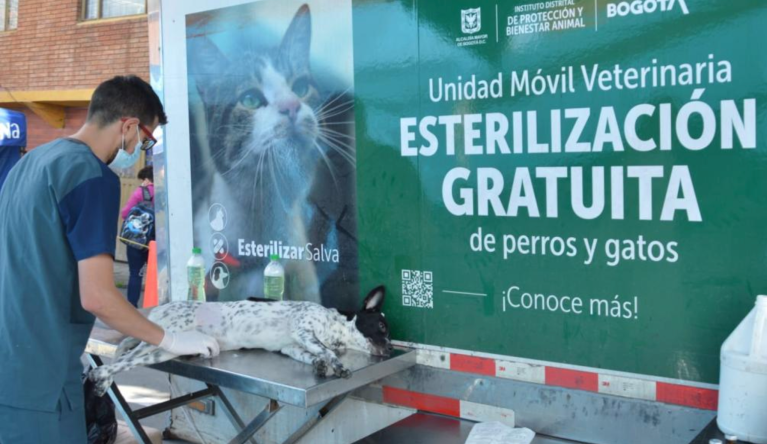 Esterilización gratuita de perros y gatos en Bogotá: ya hay cupos para mayo