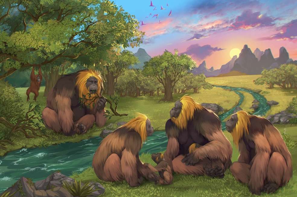 Impresión artística de un grupo de G. blacki en un bosque del sur de China.