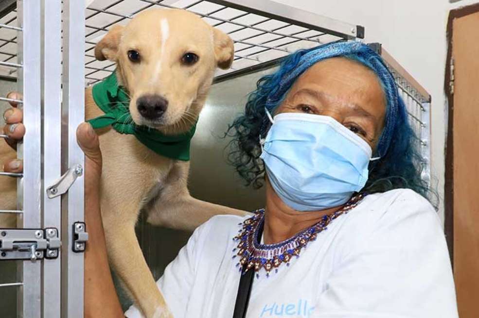 Con esto buscan que cuando las personas de calle salen a trabajar, las mascotas puedan ser cuidados por gente experta en el tema.