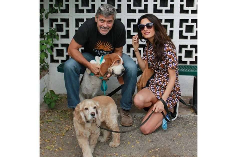 George y Amal Clooney, junto a Millie y Louie (c) Facebook. / Bang Showbiz