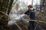 Controlan incendios en Piedecuesta y Mogotes, Santander