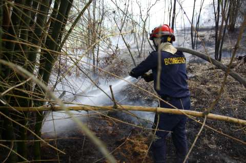 SOS por Santander, el departamento más afectado por incendios