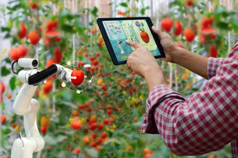 El 25 % de las FoodTech colombianas ha logrado expandirse al extranjero