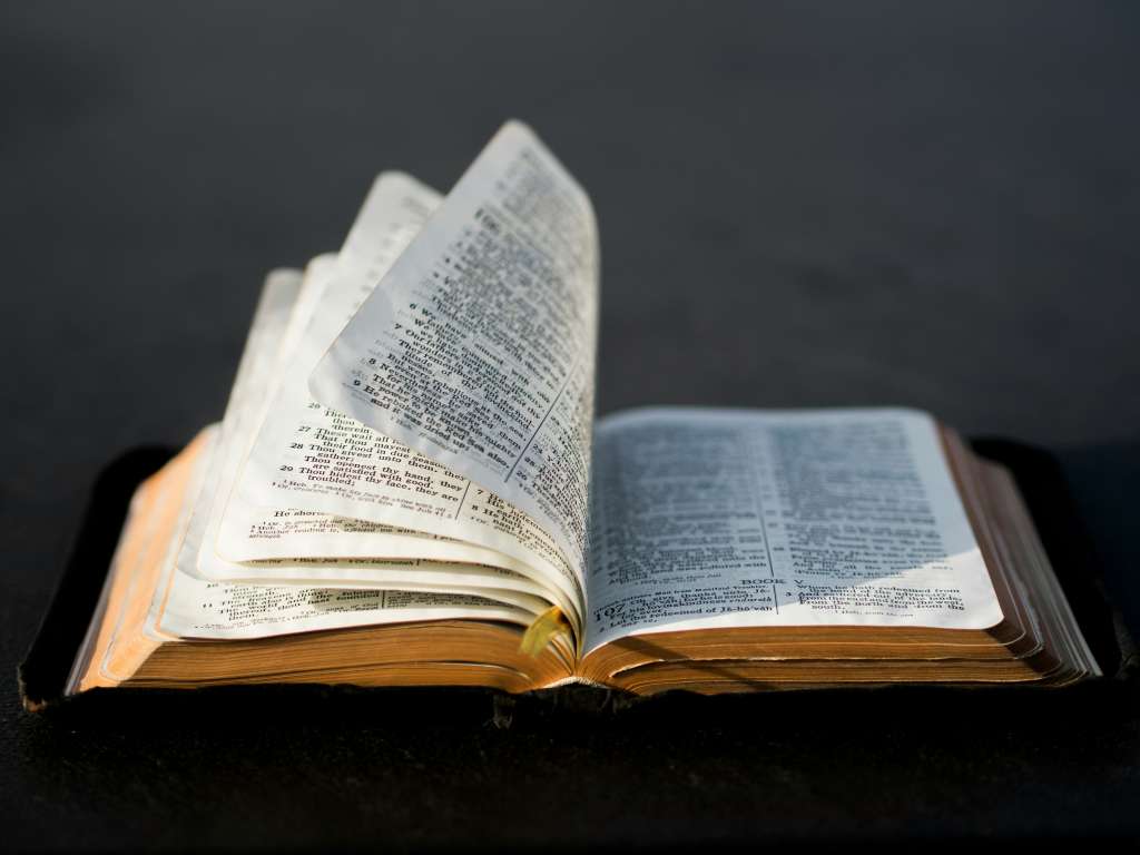 Los escribas, incluso más que los sacerdotes según algunos investigadores, fueron figuras clave en la recopilación de los textos que componen este libro sagrado.