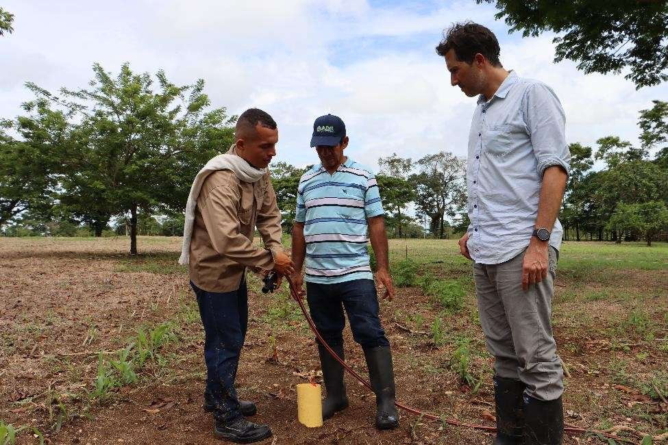 El acueducto ganadero distribuye el agua en los potreros a través de bocatomas donde se conectan los bebederos. Genera bienestar animal al disminuir las distancias de desplazamiento hacia el punto de suministro de agua.