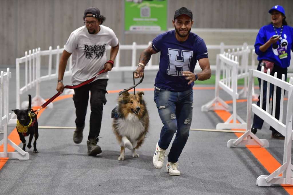 Con concursos, exhibiciones y actividades para toda la familia, Expopet 2025 llega hoy a su último día en Corferias.