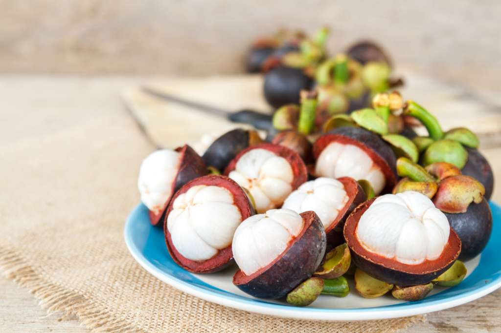 El mangostino tiene una rica historia en el sudeste asiático y un cultivo extendido en diversas regiones tropicales.