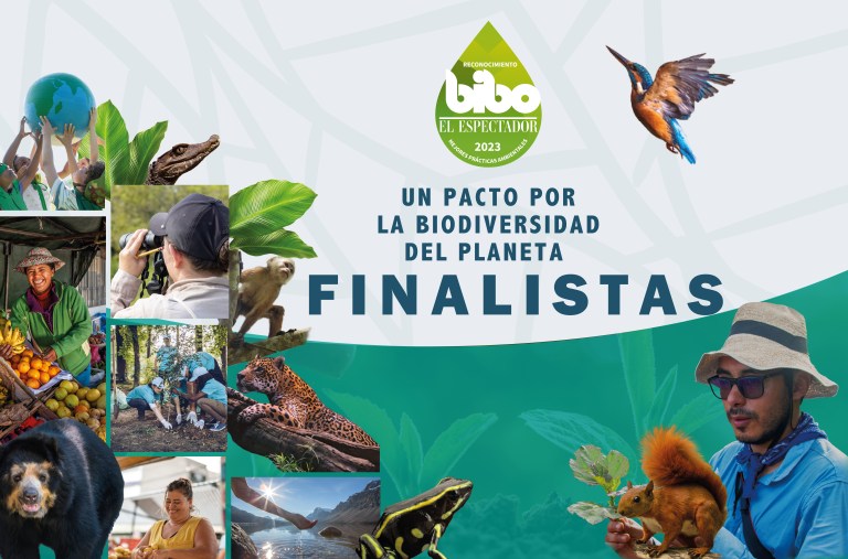 Estos son los mejores proyectos ambientales, finalistas del Premio BIBO