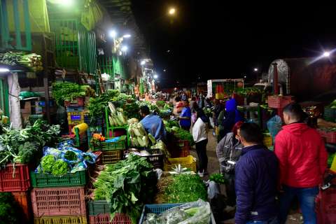 Inflación en Colombia: alimentos que más bajaron y subieron de precio en octubre