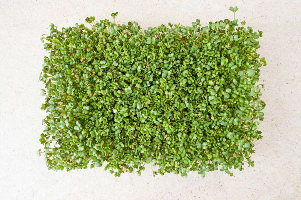 Malla para balcones
