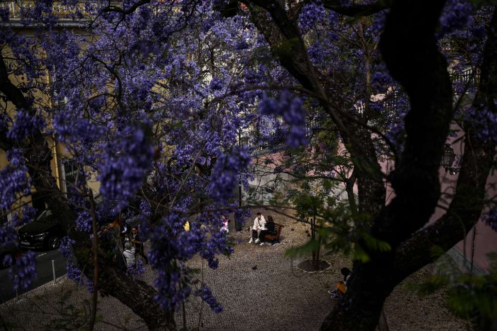A couple of tourists sit on a bench under the Jacarandas trees at Alfama neighborhood in Lisbon on May 20, 2024.