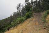 Basuras, invasiones y minería amenazan cerros orientales de Bogotá