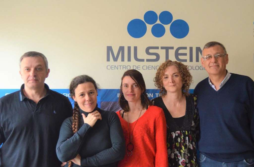 De izquierda a derecha: Santiago Werbajh, Carolina Carrillo, Luciana Larocca, Fabiana Stolowicz y Adrián Vojnov del equipo de investigación y Desarrollo del Instituto Milstein - CONICET - Fundación Cassará. Investigadores de Argentina que desarrollaron la prueba LAMP para coronavirus.