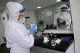 Coronavirus en Colombia 3 de agosto: reportan 6.929 casos y 268 fallecidos
