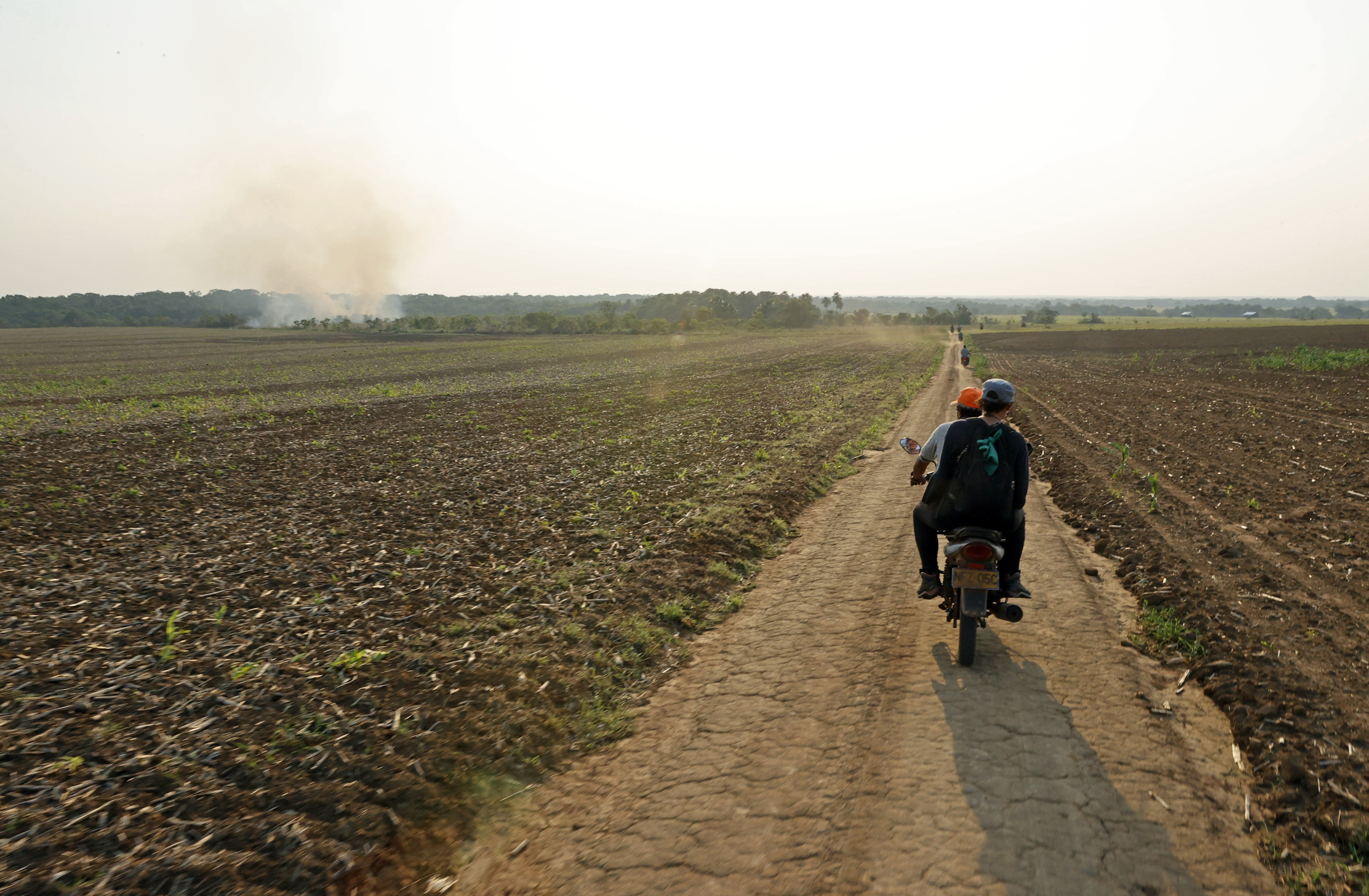 ACOMPAÑA CRÓNICA COLOMBIA TIERRAS PUERTO GAITÁN (COLOMBIA), 27/03/2024.- Fotografía de un cultivo perteneciente a la comunidad menonita el 16 de marzo de 2024 en Puerto Gaitán (Colombia). "Ayer nos devolvieron", cuentan las autoridades indígenas sikuani frente a la barrera que les impide entrar a sus casas, a la espera de autorización para seguir, y denuncian que sus tierras ancestrales, en el departamento colombiano del Meta, ahora son propiedad de terceros que, según afirman, los compraron de forma irregular. EFE/Mauricio Dueñas Castañeda