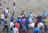 Animalistas piden endurecer penas a responsables de maltrato animal tras ataque a caballo