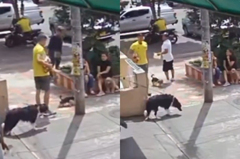“Estoy dando la cara”: hombre que golpeó a perrito teme por su seguridad