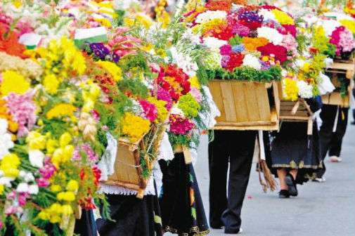 Fundado en 1.559, Madrid celebra su cumpleaños con una nueva edición del Festival de las Flores.