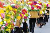Exportaciones de flores crecieron 8% en el primer semestre del año