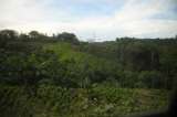 “Águilas Negras” ocupan zonas que abandonan las Farc en el Catatumbo