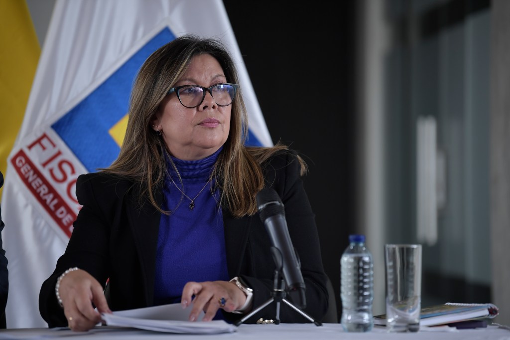Habla la fiscal Camargo: “No sabemos si Carlos Ramón González regrese al país”