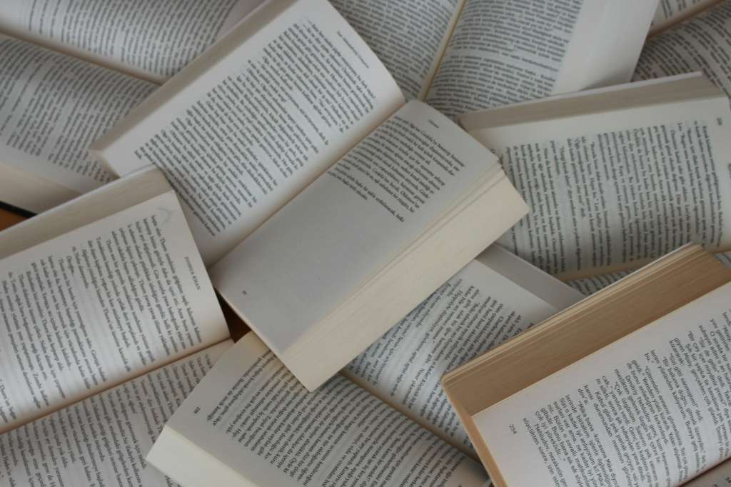 En esta ocasión, aumentó el número de mujeres escritoras que llegaron a la lista, comparada con la última que había hecho el diario en 2015. Esa vez, fueron 21 las que clasificaron, mientras que este año fueron 36.