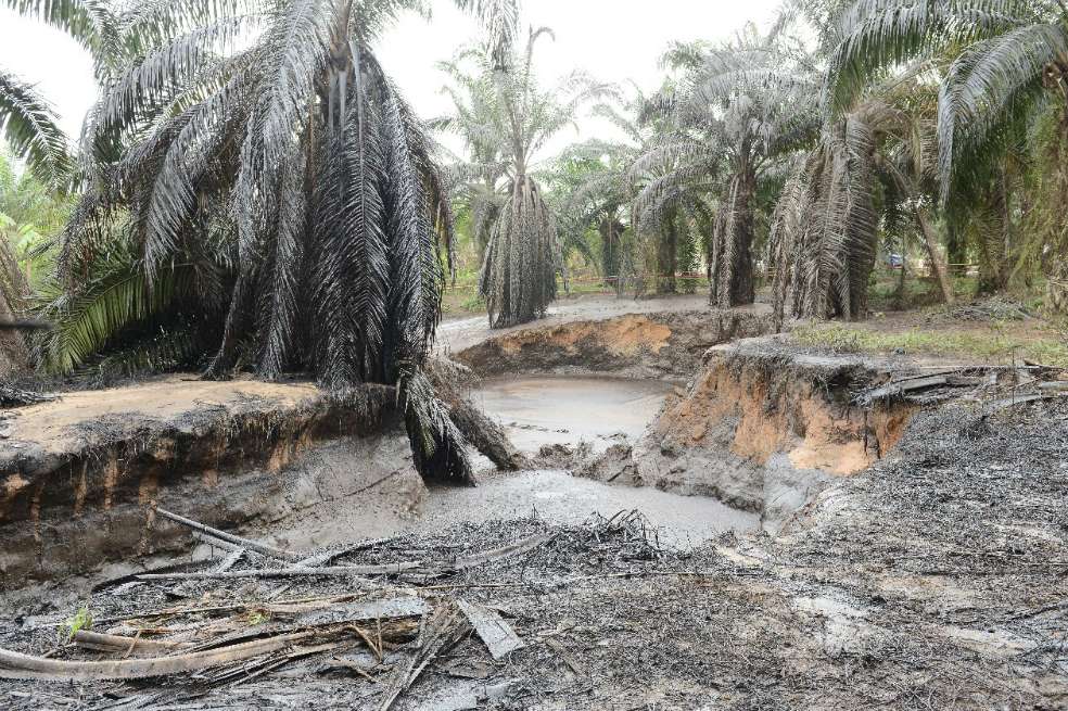 Los ataques dinamiteros contra los oleoductos colombianos dejan preocupante destrucción del medio ambiente. / Ecopetrol