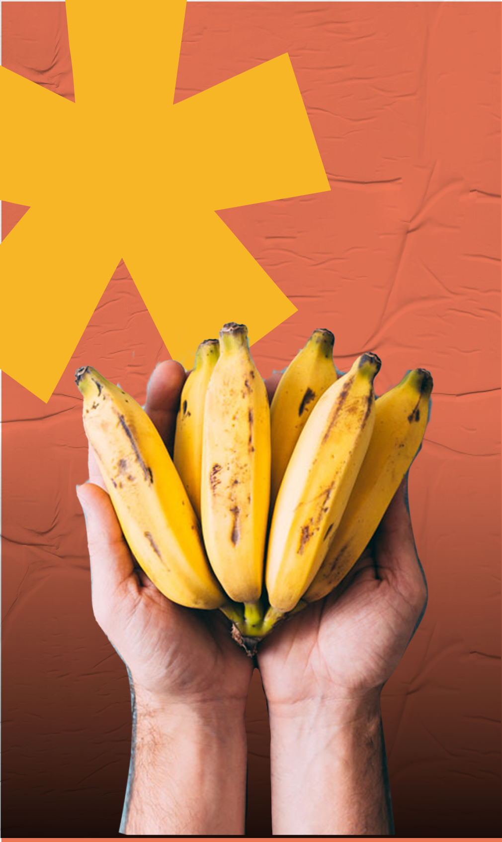 Bananos 1