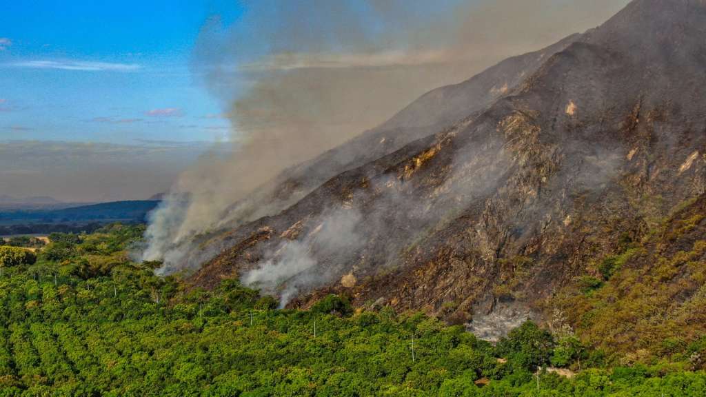 Desde principios de agosto, los incendios han afectado especialmente a los municipios de Ortega, San Luis, Guamo, Coyaima y Chaparral.
