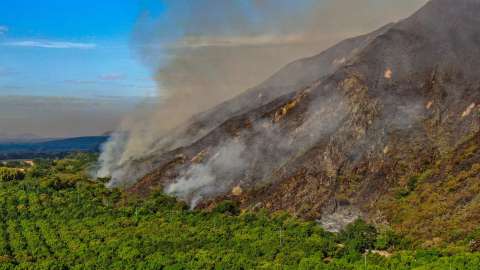 Colombia registra 13 incendios forestales activos: Tolima concentra la mayoría