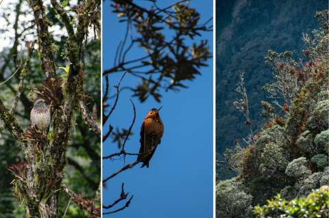 Estrella Hídrica de Caldas: así es la nueva área protegida del país