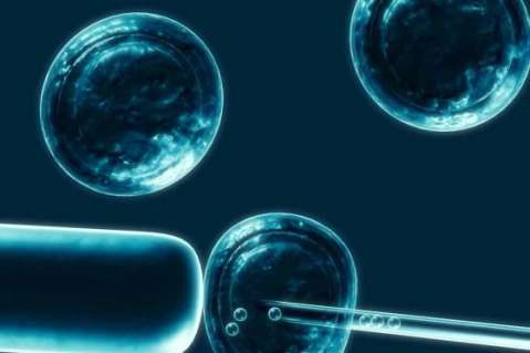 Costa Rica de nuevo a la CorteIDH por prohibir fecundación in vitro