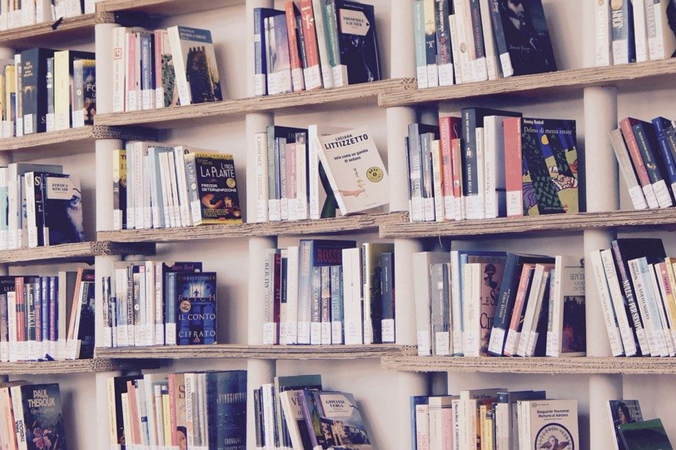 El autor de este artículo afirma que: "Solo se necesita echar un vistazo a las selecciones, que afirman contener los mejores libros, y cerciorarse de que no todos los títulos coinciden en las diferentes listas, para poner en entre dicho su validez".