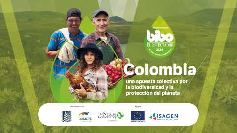 PREMIO BIBO 2024