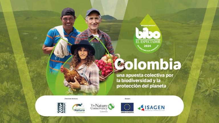 PREMIO BIBO 2024