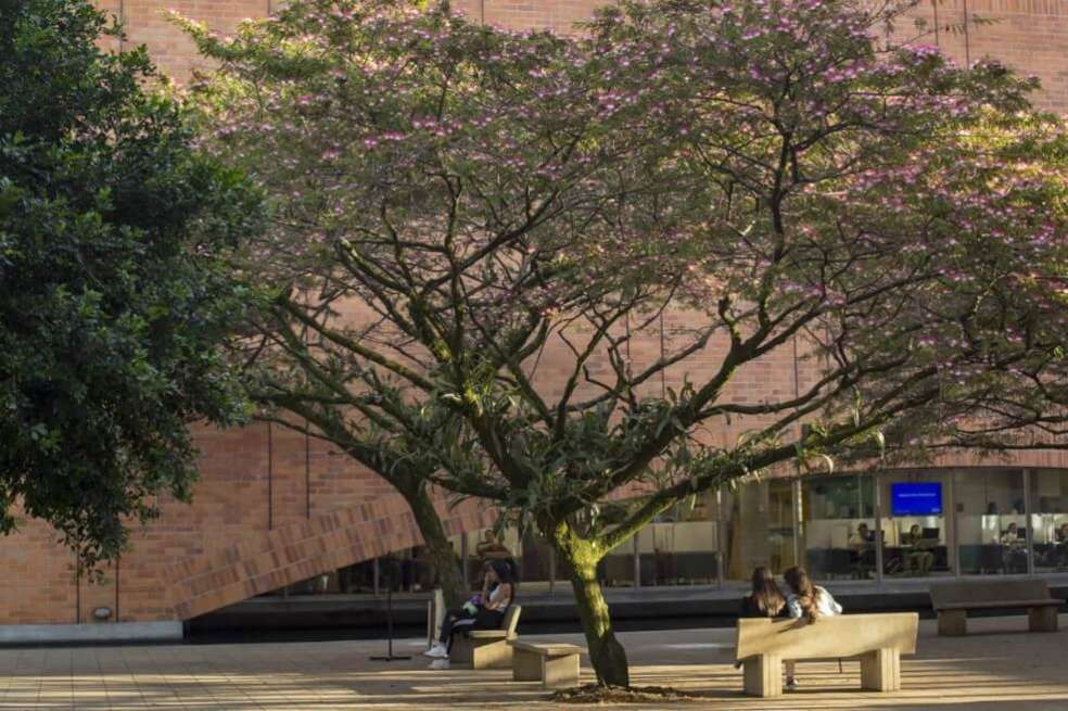La universidad fue la primera en despedir a dos profesores por la denuncias de acoso y abuso sexual/Foto de Robinson Henao de la Universidad Eafit.