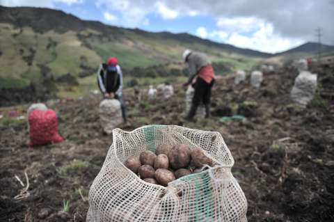 Los alimentos que más están impulsando la inflación en Colombia