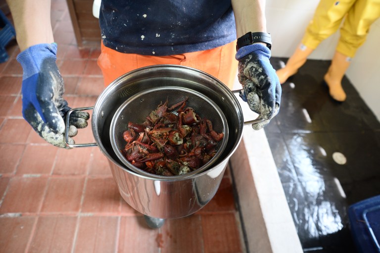 El producto se usa para alimentar otros animales en el parque.