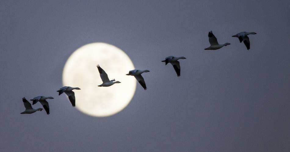 La luna de julio invita a emprender nuevos proyectos