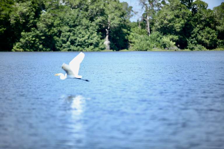 Un viaje a los pueblos palafito del Magdalena: un paraíso flotante