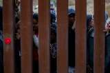 “Permita que los migrantes trabajen”: el mensaje de unos demócratas a Joe Biden
