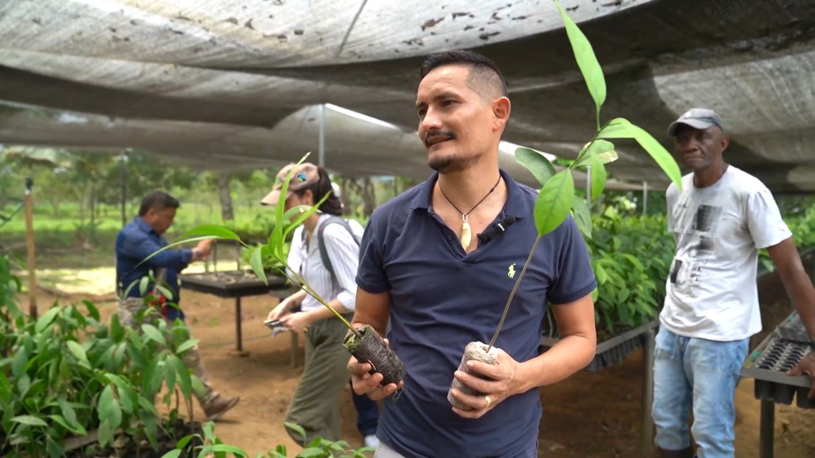 En el vivero, los excombatientes han encontrado una manera de reincorporarse a la sociedad